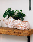 * Hedgehog Planter (Large)