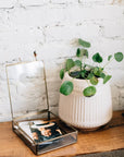 Antiqued Brass Keepsake Box