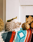 * Hedgehog Planter (Large)