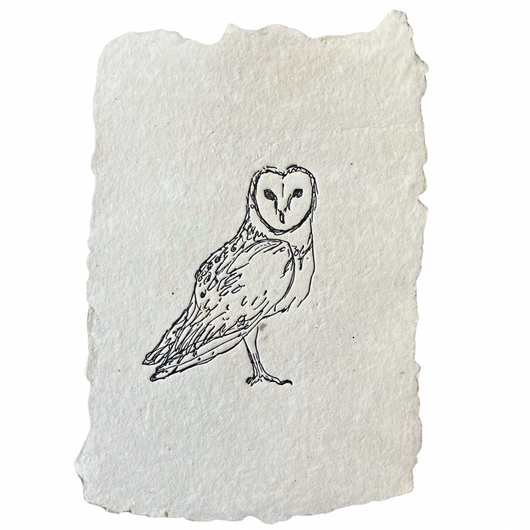 barn owl art print