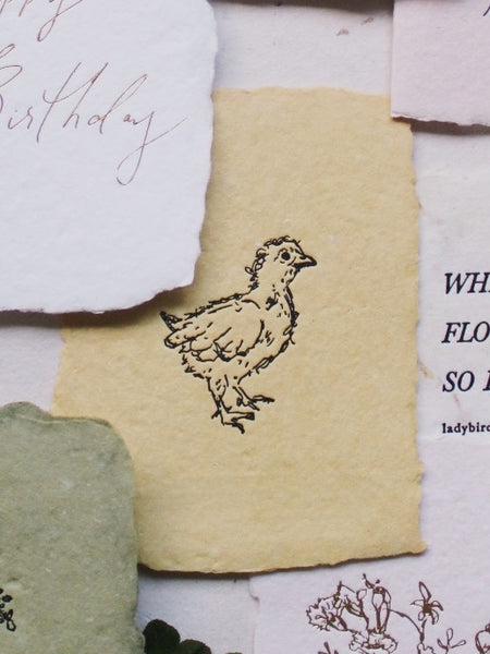 chick note card