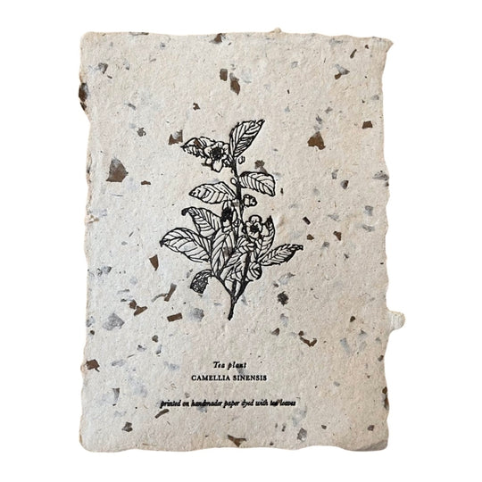 tea plant art print