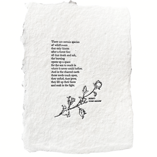 wildflower/wildfire poem art print