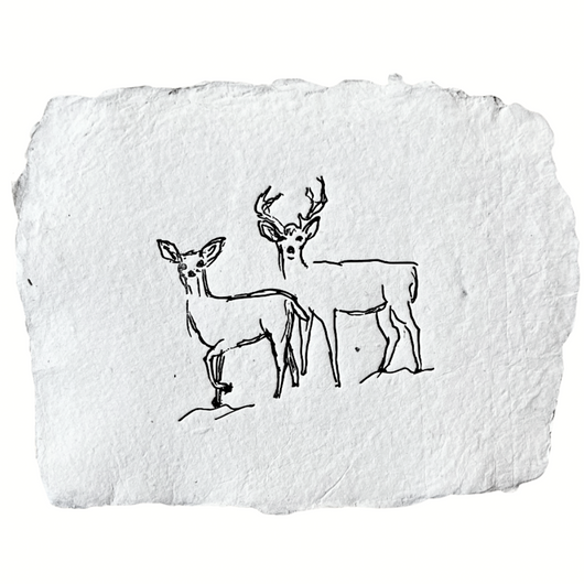 doe and buck deer art print