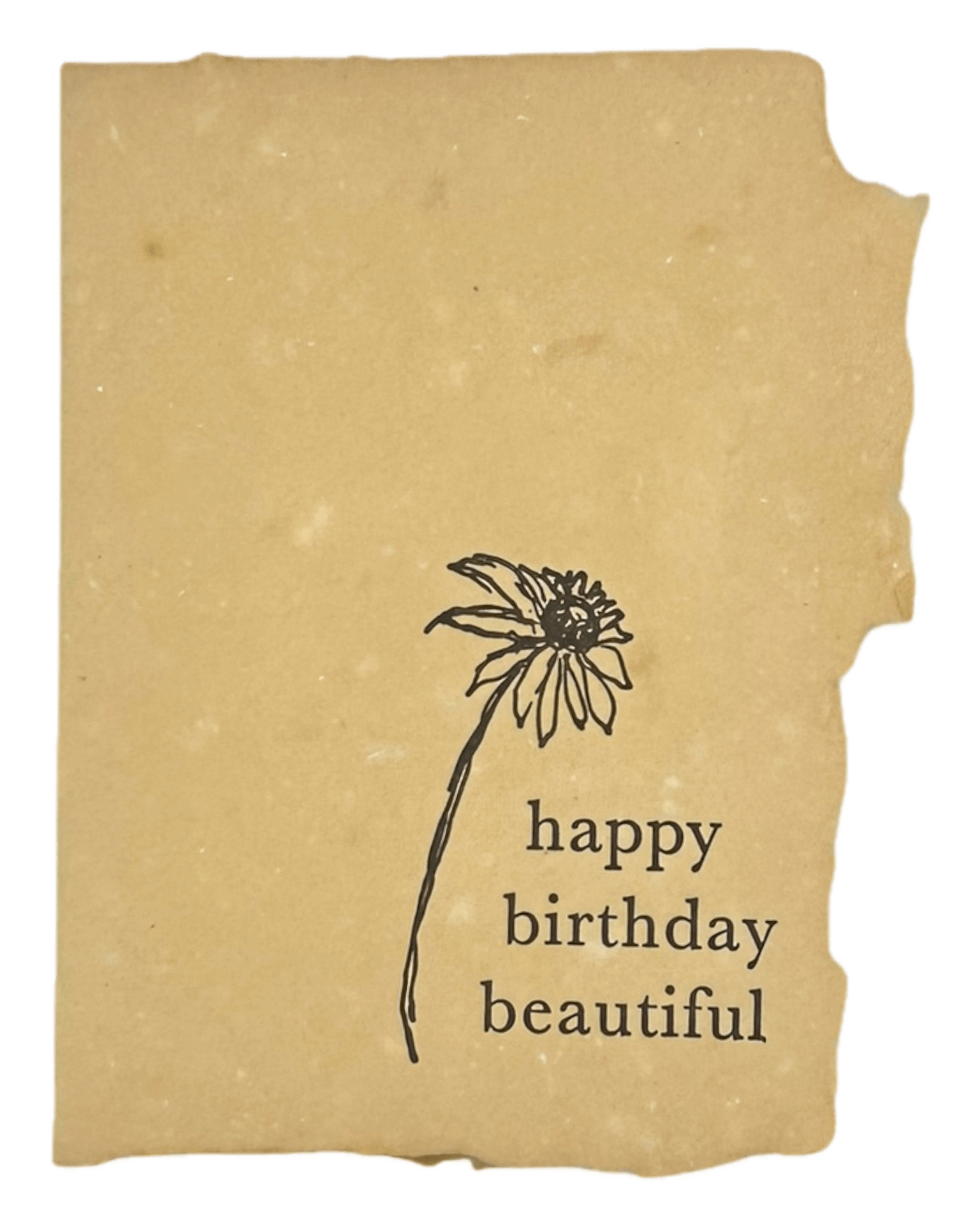 Farmette Essentials Wooden Box Bundle: 12 of Our Most Popular Cards
